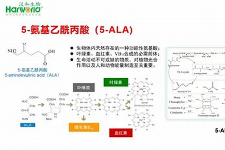 怎样正确地把5ala运用到上色环节中