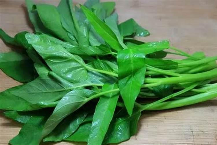 栽培无公害蔬菜时应禁用哪些肥料