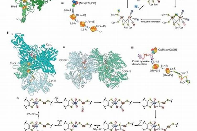 ...元素.下列物质可以直接做肥料施用的是( )A.磷酸钙B.稀氨水C.氢氧化...
