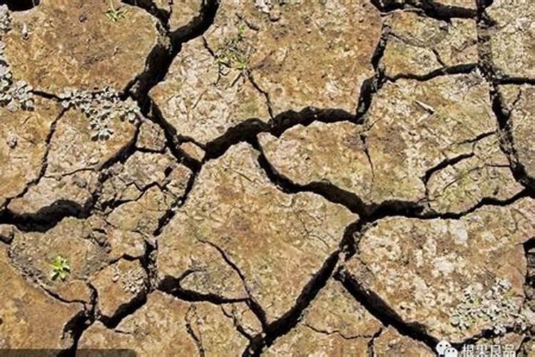 过量施肥土壤酸化