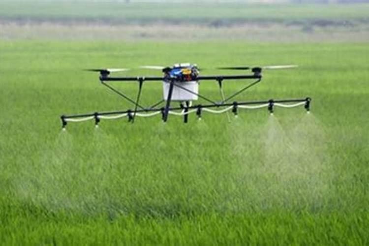 施用叶面肥记牢“五个建议”、“三个禁止”,农作物不想高产都难百度知...