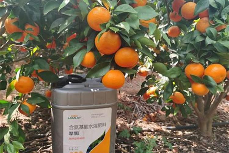重庆柑橘水溶肥厂家有哪些？