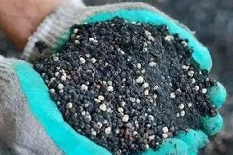 韭菜最忌讳的三种肥料