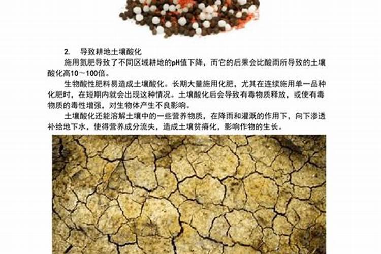 化肥对植物有哪些影响