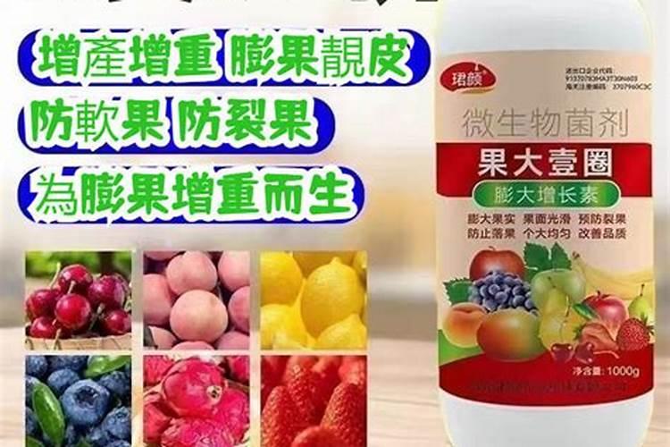 十大膨果肥第一名