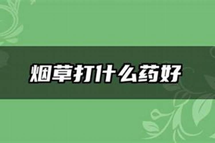 烟草打什么药好