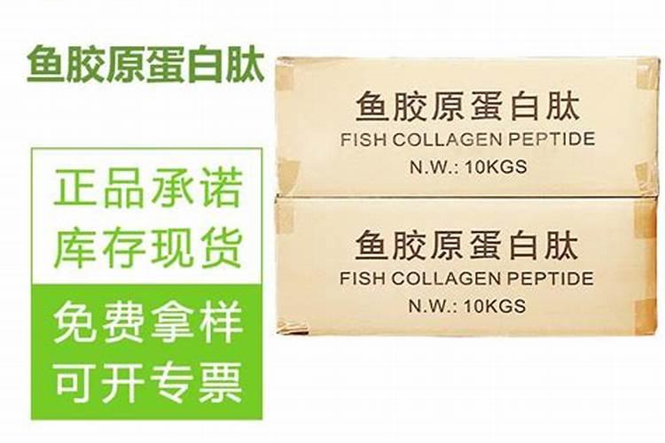 湖北鱼蛋白多肽生产厂家？