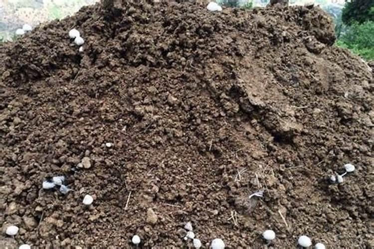 哪些农家肥含氮磷钾