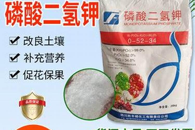 晶体磷酸二氢钾滴灌冲施化了吗？