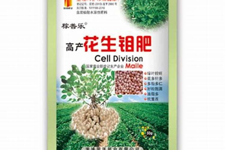 花生为什么需要施用硼肥和钼肥
