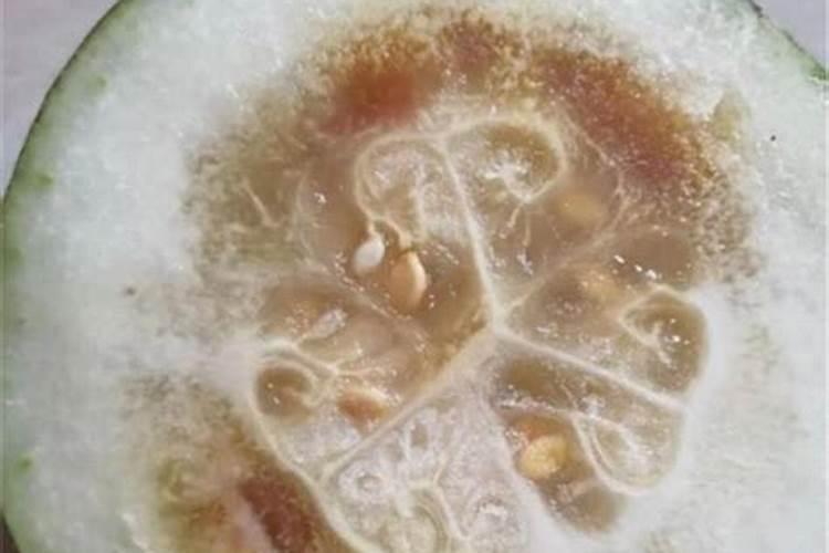 冬瓜为什么缺硼肥水的原因有哪些？