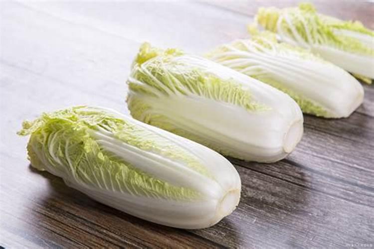 娃娃菜高产种植管理要点 娃娃菜怎么施肥