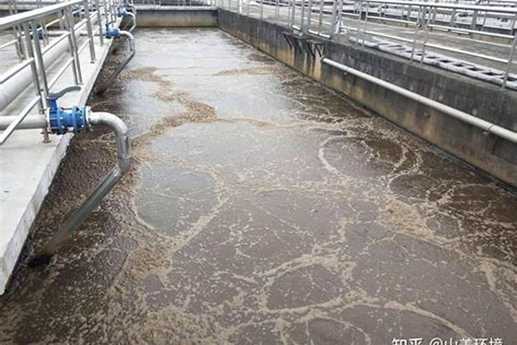 厨房废料什么含氮最高