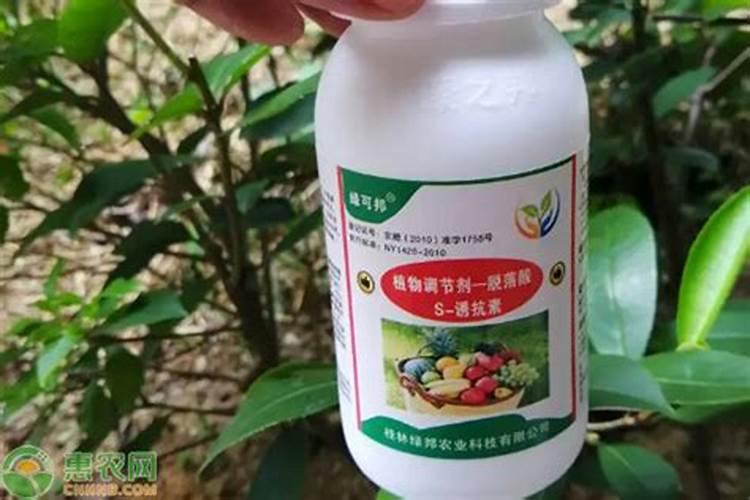 植物生长调节剂有哪些