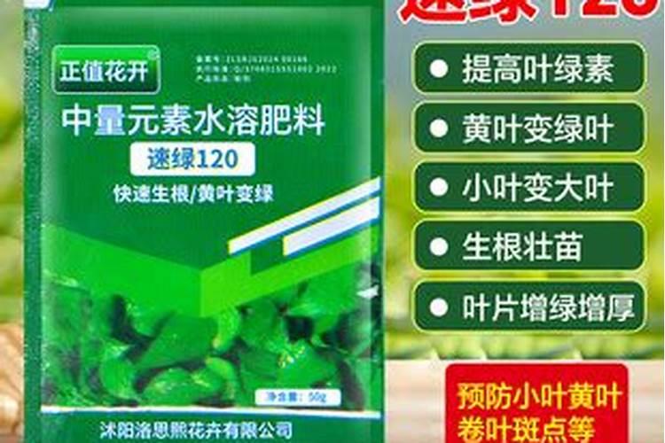 速绿120叶面肥可搭配什么肥料效果更好呢？