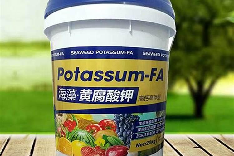海藻黄腐酸钾的好处与坏处