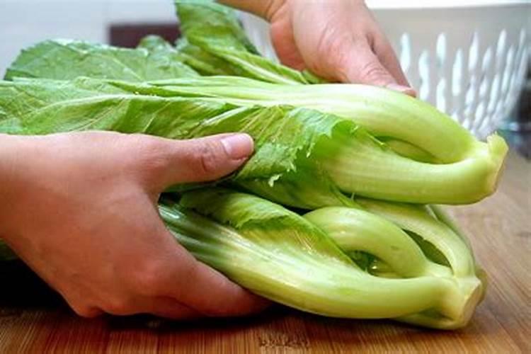 芥菜怎么了？用什么药好？