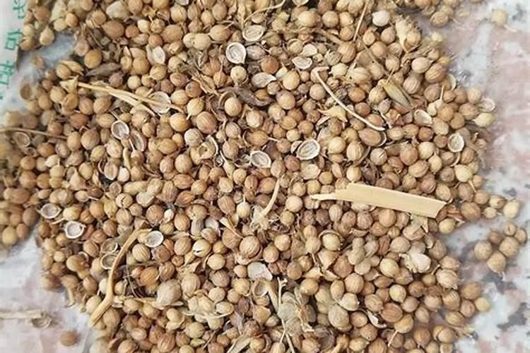 化肥能用热水浸泡吗？