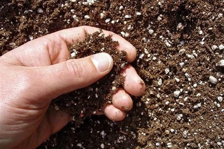 复合肥怎样使用肥效大？