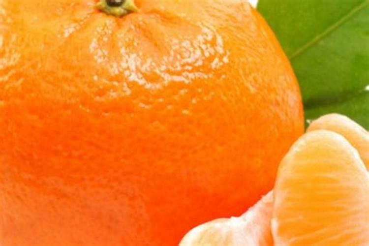 橘子单价多少元一千克