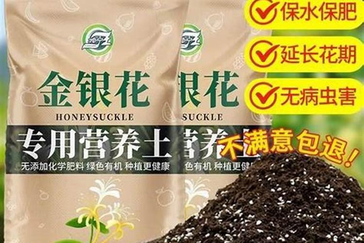 金银花施肥有哪些禁忌