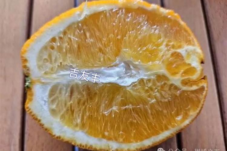 柑橘浮皮果发生的原因有哪些