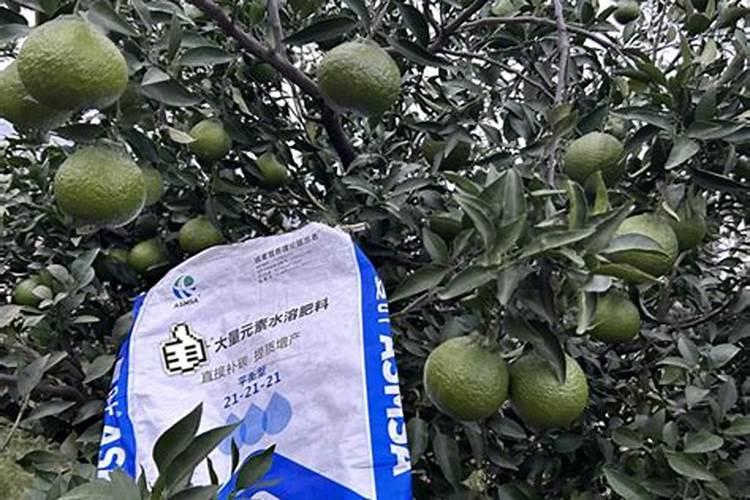 柑橘水溶肥的使用方法有哪些种类？