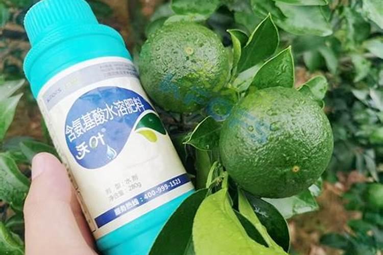 柑橘用什么水溶肥产量高？柑橘膨果用什么叶面肥效果好？