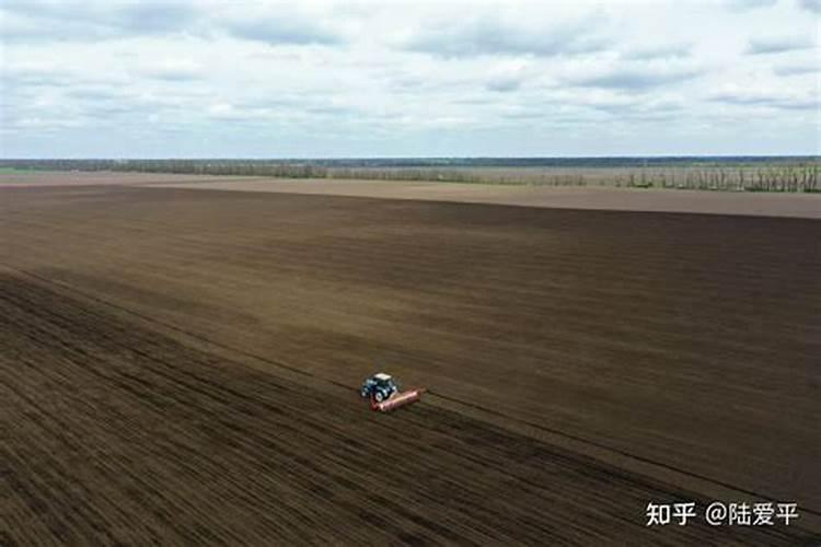 中国人在俄罗斯种地前期投资多少钱