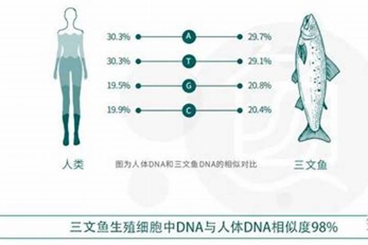 三文鱼水光以300元的价格售卖,是假的吗？