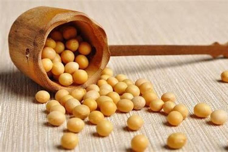 如何用黄豆自制花肥？