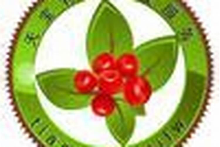 用了30多年的这些老配方依然是生根、坐果、膨果的最好配方!