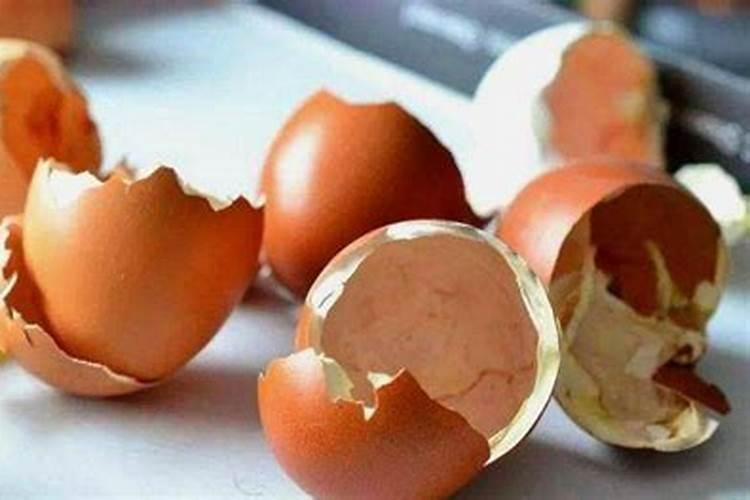 鸡蛋壳怎么做花肥 鸡蛋壳如何做花肥