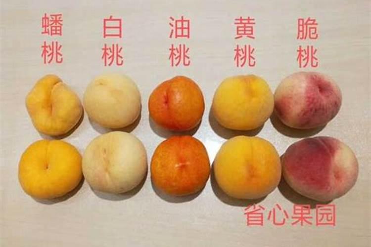 黄桃有点苦涩是怎么回事