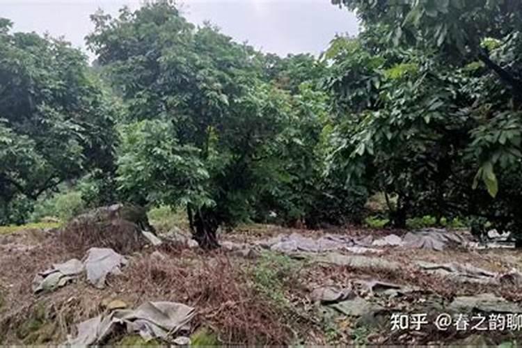 为什么大家选择菌肥,菌肥的含量,对农作物有什么用处