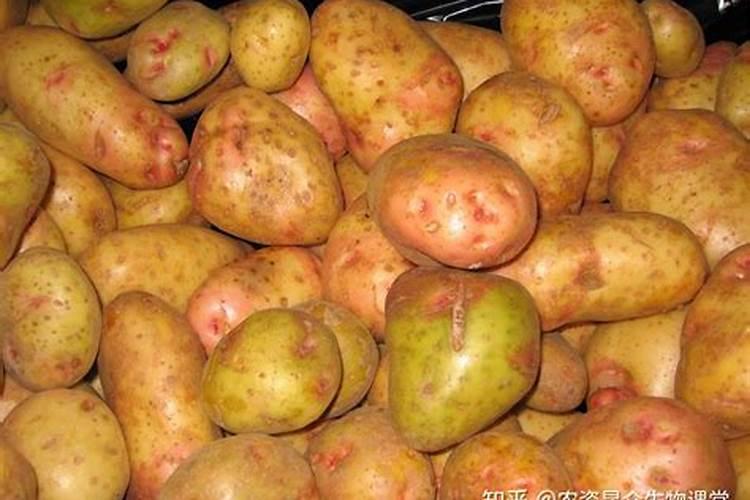 土豆底肥用什么复合肥好？用什么叶面肥幼苗涨势旺？