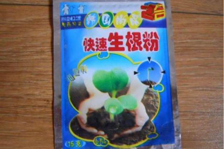生根粉如何催种子发芽