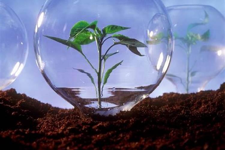 抗逆黑科技:氨基酸多肽如何让作物“自带防护服”？