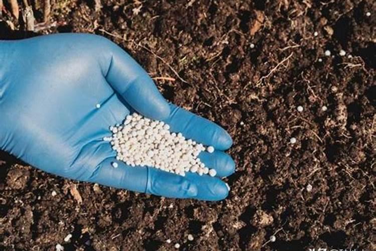 氮肥挥发的危害有哪些症状表现？