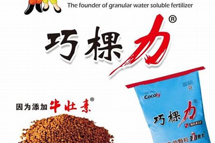 淘宝上的巧棵力是正宗的吗？