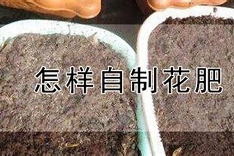 怎样自制花肥土