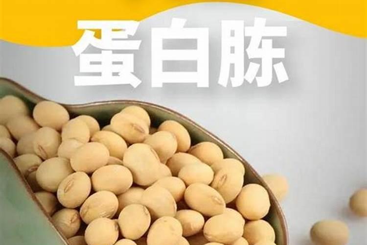 蛋白胨提供的主要营养是什么