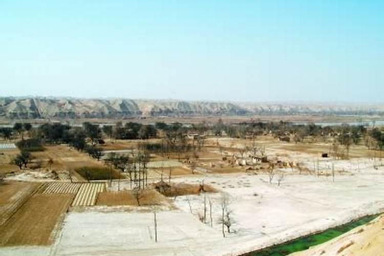 盐碱地为啥用硫酸钾肥料施肥？