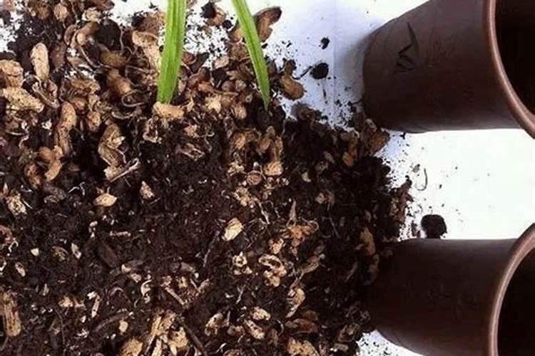 怎样把花生壳变为养花的肥料？