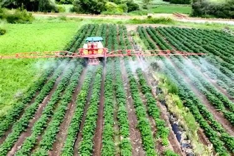 我用威百亩的桶装水喷瓜苗上了有危害吗？