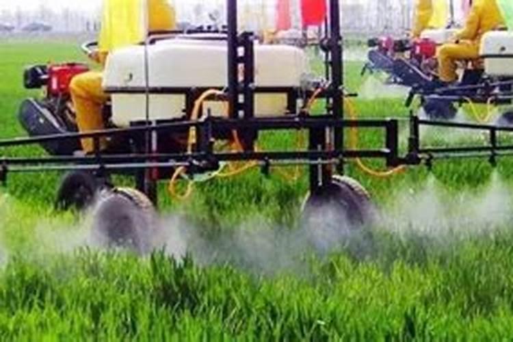 叶面肥膨大的配方