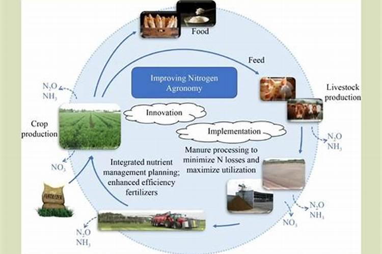 氮肥技术实验中心是干嘛的？
