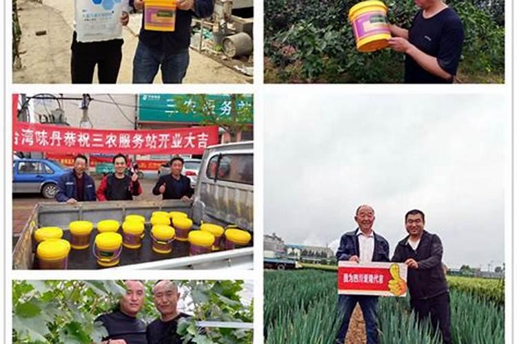 为什么越来越多的人喜欢用含氨基酸水溶肥？