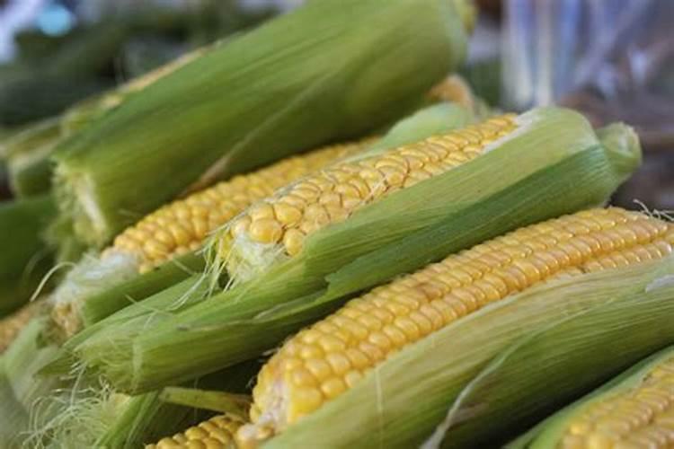 玉米可以不上钾肥吗为什么呢？