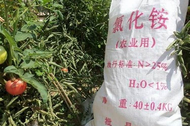 氮肥是如何生产的